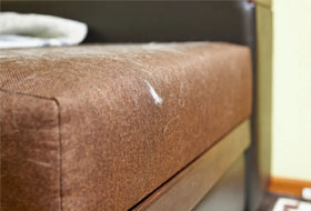 nettoyage-de-fauteuil-chaise-et-siege-43